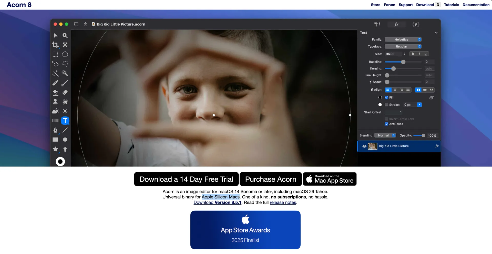 Acorn screenshot